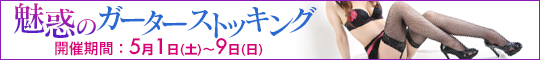 魅惑のガーターストッキング